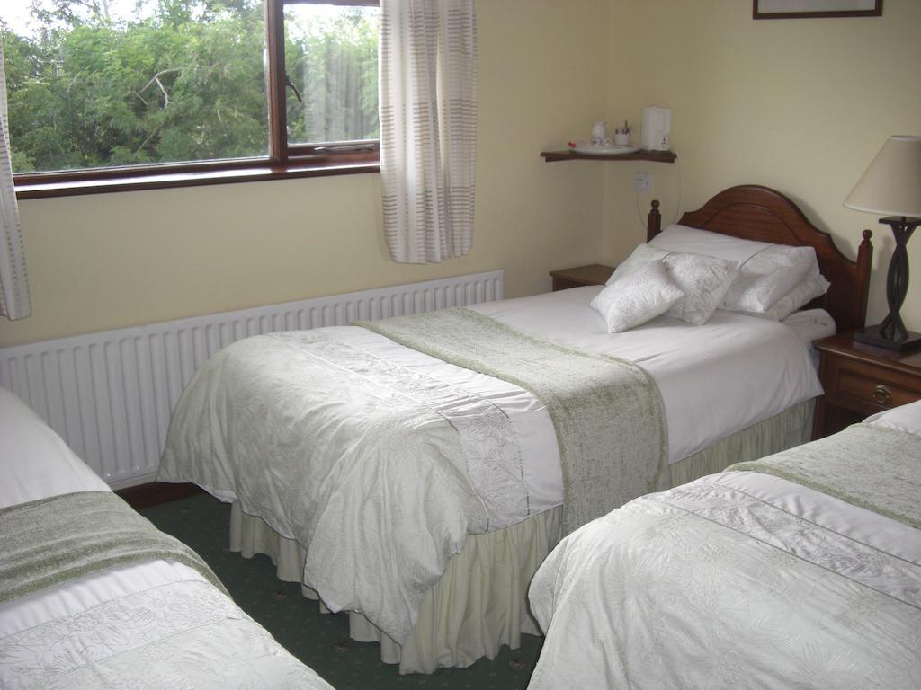 Bed and Breakfast Springlawn à Clarinbridge Chambre photo