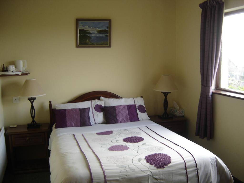 Bed and Breakfast Springlawn à Clarinbridge Chambre photo