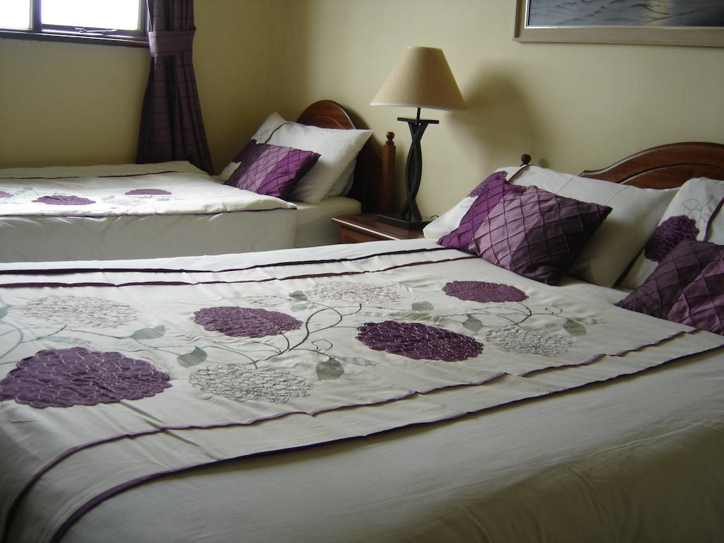 Bed and Breakfast Springlawn à Clarinbridge Chambre photo